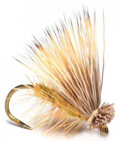 Elk Hair Caddis - Fly of the Month - Hastings Fly Fishers