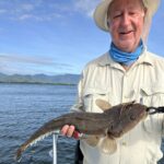 Our Flathead Champ just can’t help himself at Hinchinbrook