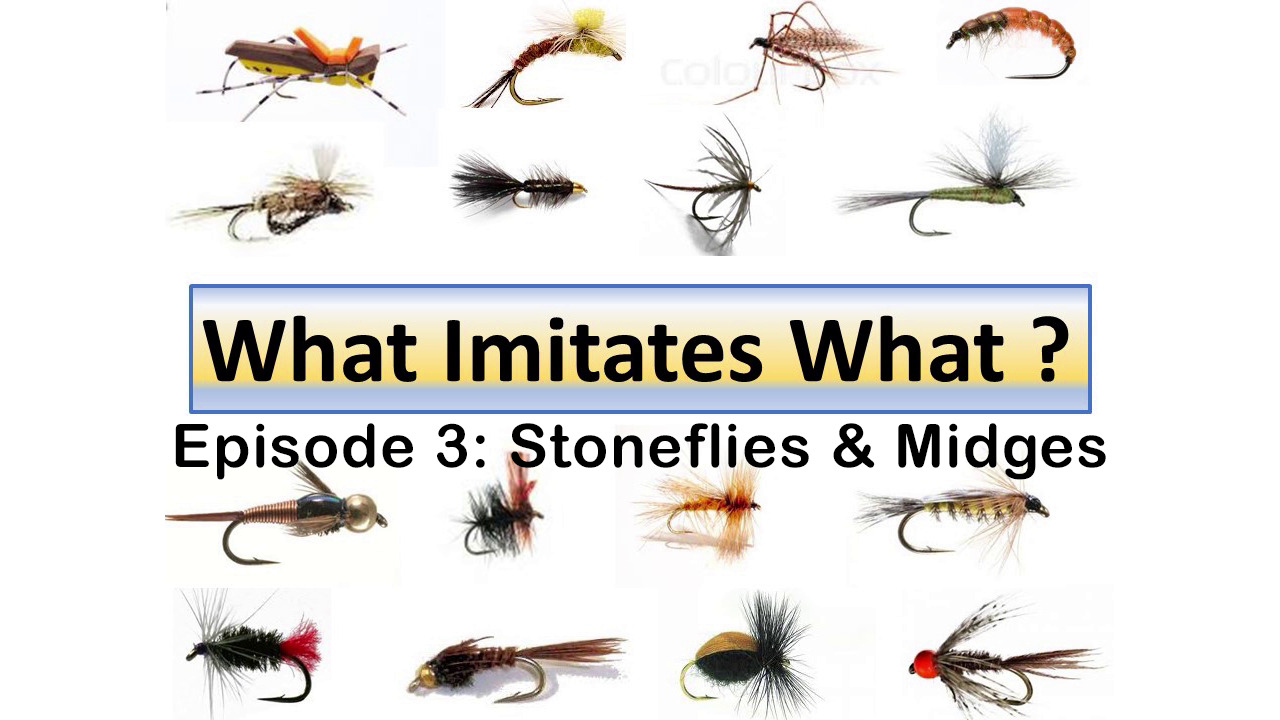 "What Imitates What" Episode 3: Stoneflies & Midges