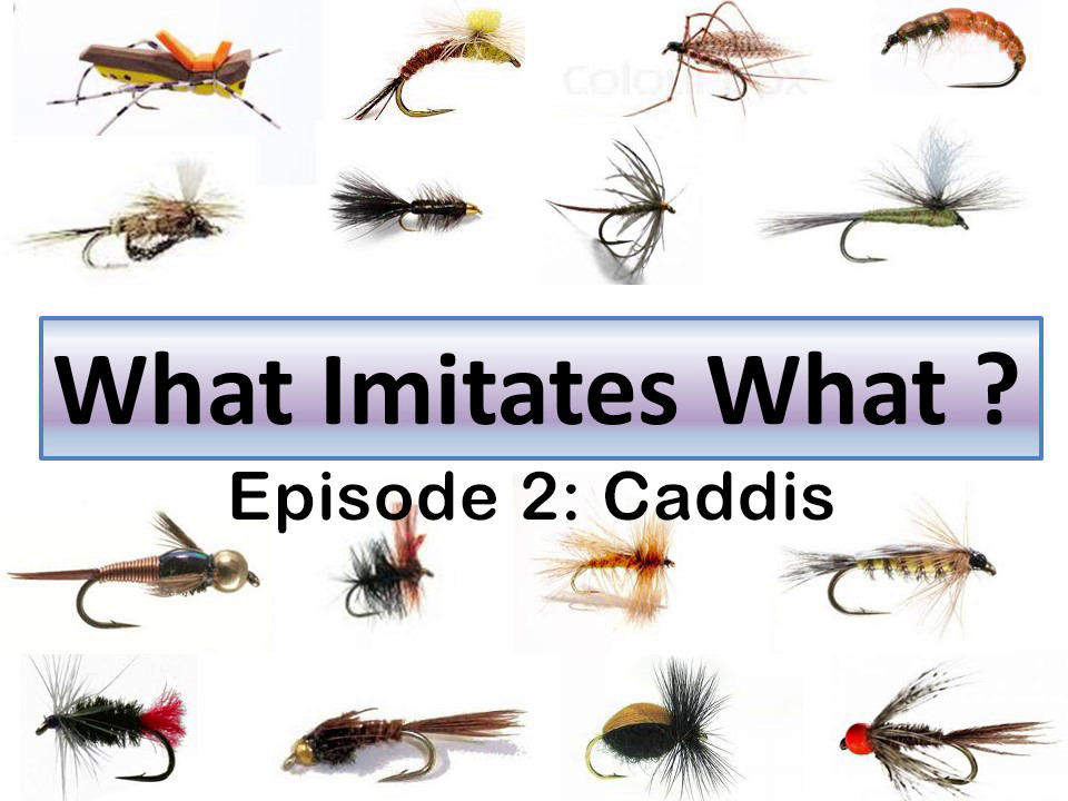 Dave Wilson's "What Imitates What" - episode 2: caddis